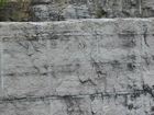 Ordovician Cincinnatian Group shelf close to Winchester Kentucky, Route 627