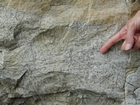 Ordovician Cincinnatian Group shelf close to Winchester Kentucky, Route 627