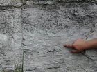 Ordovician Cincinnatian Group shelf close to Winchester Kentucky, Route 627