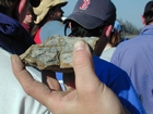 Breathitt Formation tidal flat cycles and sedimentary structures