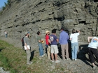 Breathitt Formation tidal flat cycles and sedimentary structures