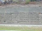 Pennsylvanian Breathitt Group Tidal Flat sediments I-64