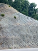 Pound Gap road cut where the base of the visible portion this image marks the top of the Ohio shale. Above, bracketed by the street light are the Upper Devonian Bedford and Berea Sequence that are represented by inter-bedded siltstones and sands enclosed and inter-bedded with shale. This in turn is capped by the Lower Mississippian Sunbury Shale that is locally coffee colored. At the top of the outcrop (between the lower two green bushes) is Mississippian Grainger Formation which is composed of alternating relatively continuous to occasionally shallowly channeled beds of sand with uniform sharp bedding planes and shale; both lithologies vary in thickness and the sands often exhibit Bouma sequences suggesting deposition from turbidite currents that were active over a mid to outer fan setting