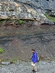 Pound Gap where the base of the visible portion this road cut marks the top the Lower Mississippian Sunbury Shale. Most of the photograph, in the mountain mist, is of the Mississippian Grainger Formation, composed of alternating relatively continuous to occasionally shallowly channeled beds of sand with uniform sharp bedding planes and shale; both lithologies vary in thickness and the sands often exhibit Bouma sequences suggesting deposition from turbidite currents that were active over a mid to outer fan setting. The lower portion of the formation is shale rich and probably from a deeper water setting and a more distal portion of the fan. The top of the photograph, in the cloud, is the overlying Lower Mississippian Newman Limestone Formation