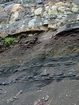 Pound Gap and a distant view of the contact between the Mississippian Grainger Formation formed by beds of sand and shale, above which is the overlying Lower Mississippian Newman Limestone Formation
