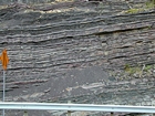 Pound Gap where at the base of the visible portion this road cut is the top the Lower Mississippian Sunbury Shale. Most of the photograph is of the Mississippian Grainger Formation, here composed of alternating relatively continuous to occasionally shallowly channeled beds of sand with uniform sharp bedding planes and shale; both lithologies vary in thickness and the sands often exhibit Bouma sequences suggesting deposition from turbidite currents that were active over a mid to outer fan setting. The lower portion of the formation is shale rich and probably from a deeper water setting and a more distal portion of the fan. The top of the photograph is marked by the overlying Lower Mississippian Newman Limestone Formation