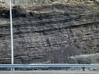 Pound Gap where at the base of the visible portion this road cut is the top the Lower Mississippian Sunbury Shale. Most of the photograph is of the Mississippian Grainger Formation, here composed of alternating relatively continuous to occasionally shallowly channeled beds of sand with uniform sharp bedding planes and shale; both lithologies vary in thickness and the sands often exhibit Bouma sequences suggesting deposition from turbidite currents that were active over a mid to outer fan setting. The lower portion of the formation is shale rich and probably from a deeper water setting and a more distal portion of the fan