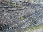 Pound Gap where at the base of the visible portion this road cut is the top the Lower Mississippian Sunbury Shale. Most of the photograph is of the middle and lower portions of the Mississippian Grainger Formation, here composed of alternating relatively continuous to occasionally shallowly channeled beds of sand with uniform sharp bedding planes and shale; both lithologies vary in thickness and the sands often exhibit Bouma sequences suggesting deposition from turbidite currents that were active over a mid to outer fan setting. The lower portion of the formation is shale rich and probably from a deeper water setting and a more distal portion of the fan