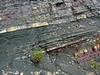 Pound Gap where the lower portion of the thin bedded Mississippian Grainger Formation is composed of alternating thin sands and shale and the overlying middle portion is composed of varying thicknesses of sand separated by bedding planes marked by thin shale