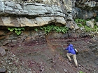 Pound Gap where the uppermost portion of the Mississippian Grainger Formation is composed of thin beds of sand and thicker thin shale. Overlying this at top of the photograph is the Lower Mississippian Newman Limestone Formation