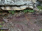 Pound Gap where the uppermost portion of the Mississippian Grainger Formation is composed of thin beds of sand and thicker thin shale. Overlying this at top of the photograph is the Lower Mississippian Newman Limestone Formation