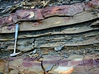 Pound Gap where the bedding character of the middle portion of the Mississippian Grainger Formation is composed of alternating relatively continuous to occasionally shallowly channeled thicker beds of sand with uniform sharp bedding planes and thin beds of shale; both lithologies vary in thickness and the sands often exhibit Bouma sequences suggesting deposition from turbidite currents that were active over a mid to outer fan setting