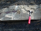 Pound Gap where the bedding character of the middle portion of the Mississippian Grainger Formation sand exhibits a Bouma sequence and an escape burrow shows the trace of an escape from a catastrophic disaster. All in daily life when living on a submarine fan in the Appalachian Basin