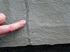 Pound Gap where the character of an escape burrow can be seen in a sand from the middle portion of the Mississippian Grainger Formation within a Bouma sequence