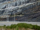 At the bottom of the photograph of the road cut is of the Mississippian Grainger Formation and above is the base of the overlying Mississippian Newman Limestone. This Lower Newman Limestone fills the upper two thirds of the image and is composed of relatively continuous beds of shallow water limestone that are locally mounded and channeled. Bedding planes are irregular but sharp with some shale filled partings and there are prominent chocolate brown dolomitic siltstone bodies towards to top of the image