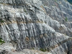 Irregular dolomite layer at top of unit 112, see the measured Geological Section, Kentucky Geological Survey Field Trip Guide 1998. Local mounded bedding of the shallow water limestones of the Lower Mississippian Newman Limestone Formation. Not the dolomitized layer in the middle ground of the photograph with dolomitized silt below and a dolomitized silt above