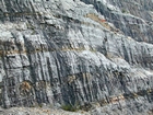 Cycles of the shallow water limestones of the Lower Mississippian Newman Limestone Formation are punctuated by tan shaley dolomitic limestones. Note point bar cross beds or mound margin clinoforms suggesting that migrating carbonate bodies moved within unit 111, see the measured Geological Section, Kentucky Geological Survey Field Trip Guide 1998. Pound Gap road cut exposures in Kentucky on Rt 23