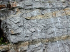 During sediment deposition storm waves are believed to have eroded the shelf surface and caused these shallow water limestones of the Lower Mississippian Newman Limestone Formation to have their irregular character, while local currents accounted for the development of low angle cross beds and mound margin clinoforms suggesting migrating carbonate bodies moving across this setting. Note two prominent beds of dolomitized silt interbedded with the shallow carbonates in the center of this image and locally forming clinoforms. These silts probably had a subaerial source. Lower tan/dark layer is top of unit 110 and base of 109, see the measured Geological Section, Kentucky Geological Survey Field Trip Guide 1998