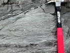 Interbedded intraclastic packstone and mudstone fabric of the Lower Mississippian Newman Limestone Formation. These sediments probably accumulated where storm wave erosion occurred just seaward of the shoreface, with waves driving local transport of this sediments across this shelf surface and causing the local irregular eroded character of the bedding planes. This is Unit 101 of the measured Geological Section, Kentucky Geological Survey Field Trip Guide, 1998