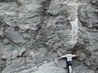 Chert rich intraclastic packstone and mudstone fabric of the Lower Mississippian Newman Limestone Formation, probably associated with overlying exposure and soil horizon development. This is unit 101 of the measured Geological Section, Kentucky Geological Survey Field Trip Guide, 1998