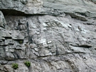 Just above Figure 171; note the low angle cross beds and/or mound margin clinoforms that appear to suggest migrating carbonate bodies that moved across this setting the Lower Mississippian Newman Limestone Formation. This is unit 101 of the measured Geological Section, Kentucky Geological Survey Field Trip Guide, 1998