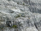 Storm waves are interpreted to have eroded and reworked the sediments that accumulated here in this lagoonal or shelf setting and caused these shallow water limestones of the Lower Mississippian Newman Limestone Formation to have their irregular character, with local currents accounted for the development of low angle cross beds and migrating carbonate mound margin clinoforms that moved across this setting