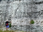 Local tidal or wind driven currents are interpreted to have produced the low angle cross beds and migrating carbonate mound margin clinoforms at the top of this photograph. These features probably moved across the depositional setting while storm waves also eroded across this lagoonal shelf surface where the shallow water limestones of the Lower Mississippian Newman Limestone Formation accumulated. Note 101 mark and that Liz is pointing at 5 feet of unit 100, see the measured Geological Section, Kentucky Geological Survey Field Trip Guide 1998