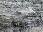 The Lower Mississippian Newman Limestone Formation with limestones exhibiting a locally irregular character probably the result of storm reworking, while local currents account for the development of low angle cross beds and mound margin clinoforms suggesting migrating carbonate bodies moving across this depositional setting. The bedding plane crack displayed at center right is base of unit 98 and flat portion above this is 98, see the measured Geological Section, Kentucky Geological Survey Field Trip Guide 1998. Unit 98 extends 18 feet above crack