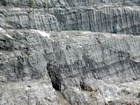 The Lower Mississippian Newman Limestone Formation with limestones exhibiting a locally irregular character probably the result of storm reworking, while local currents account for the development of low angle cross beds and mound margin clinoforms suggesting migrating carbonate bodies moving across this setting. Most of the photograph is of unit 105 in foreground, but the extent of unit 104 above has not been established for this image, see the measured Geological Section, Kentucky Geological Survey Field Trip Guide 1998