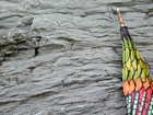 Photograph featuring wave dominated hummocky cross-bedded and thin-bedded irregular and lenticular-bedded shallow water packstones and mudstones of the Lower Mississippian Newman Limestone Formation interpreted to have accumulated just seaward of a shore face within wave base. This is unit 108 of the measured Geological Section, Kentucky Geological Survey Field Trip Guide 1998