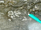 Interbedded intraclastic packstone and mudstone fabric rich in bioclasts including cross sections of solitary rugose corals, brachiopods and the cross sections of plates of crustose byozoan that resemble the carapaces of giant coarse trilobites of the Lower Mississippian Newman Limestone Formation. These sediments probably accumulated where storm wave erosion occurred just seaward of the shoreface, with waves driving local transport of this sediments across this shelf surface and causing the local irregular eroded character of the bedding planes. This is unit 101 of the measured Geological Section, Kentucky Geological Survey Field Trip Guide, 1998