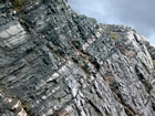 Top of the Lower Newman Formation just below the Mississippian Pencil Cave at Pound Gap