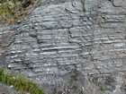 These are interpreted as storm dominated carbonates with wave and current scour at their base, containing gravels of bioclastic debris in a micritic to shaley matrix at the base of the Mississippian Little Lime of the Upper Newman, Note 85 Paint Mark of the measured section published by the Geological Survey of Kentucky's 1998 for the Field Trip they conducted at Pound Gap