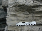Flazer structures in carbonate mound flank Ordovician Rockdell Formation Dickenson Virginia Route 58