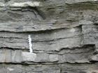 Flank of Ordovician Rockdell Formation Mound near Dickenson Virginia Route 58