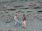 Silurian shallow water carbonates of Brassfield Formation