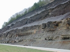 Ohio Shale of Devonian euxinic epeiric seas