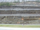 Ohio Shale of Devonian euxinic epeiric seas