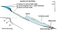 Bahamas Margin Slope