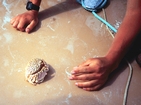 Sand Carb Joulter Ooid Shoals