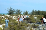 Cemented Dunes Joulters Cay