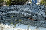 Cemented Dunes Joulters Cay