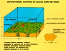 Grapestone Area Diagram (Kendall after Geblein