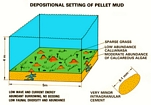 Soft Carbonate Pellets Factory (Kendall after Geblein