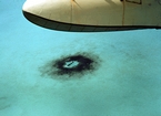 Carbonate Mud Factory Crashed Plane Atoll