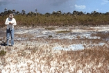 Upper Tidal Goose Creek West Andros Bahamas