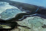 Ponds West Side Andros Bahamas