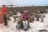 Pond Goose Creek West Andros Bahamas