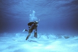 Stromatolites Lee Stocking Exumas Bahamas