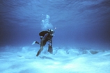 Stromatolites Lee Stocking Exumas Bahamas